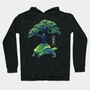 Turtle Tree Abstraction Hoodie